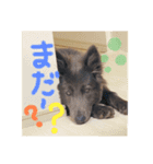 ユーラとアウラ（個別スタンプ：1）
