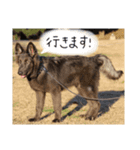ユーラとアウラ（個別スタンプ：2）