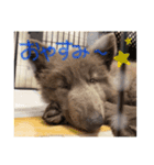 ユーラとアウラ（個別スタンプ：8）