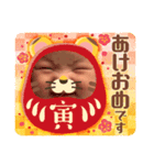 ふうちゃんスタタンプ2022寅年（個別スタンプ：3）
