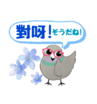 鳩のイラストの台湾華語と日本語のスタンプ（個別スタンプ：20）