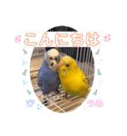 うめとぴーのカラフルLIFE（個別スタンプ：3）