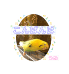 うめとぴーのカラフルLIFE（個別スタンプ：5）