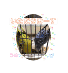 うめとぴーのカラフルLIFE（個別スタンプ：6）