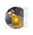 うめとぴーのカラフルLIFE（個別スタンプ：7）