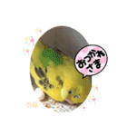 うめとぴーのカラフルLIFE（個別スタンプ：9）