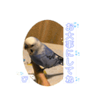 うめとぴーのカラフルLIFE（個別スタンプ：10）