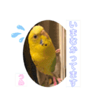 うめとぴーのカラフルLIFE（個別スタンプ：11）