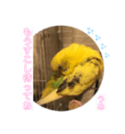 うめとぴーのカラフルLIFE（個別スタンプ：12）