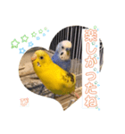 うめとぴーのカラフルLIFE（個別スタンプ：16）