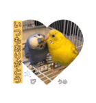 うめとぴーのカラフルLIFE（個別スタンプ：17）