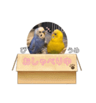うめとぴーのカラフルLIFE（個別スタンプ：19）