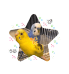 うめとぴーのカラフルLIFE（個別スタンプ：20）
