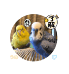 うめとぴーのカラフルLIFE（個別スタンプ：21）