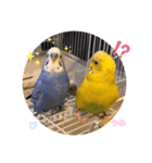 うめとぴーのカラフルLIFE（個別スタンプ：27）