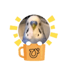 うめとぴーのカラフルLIFE（個別スタンプ：34）