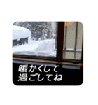 きちんと大人スタンプ～年末年始 2022～（個別スタンプ：20）