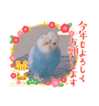 ぴーちゃん☆original Photo（個別スタンプ：1）