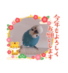 ぴーちゃん☆original Photo（個別スタンプ：2）