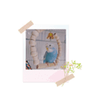 ぴーちゃん☆original Photo（個別スタンプ：3）