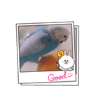 ぴーちゃん☆original Photo（個別スタンプ：4）