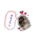 Hedgehogs Hoku（個別スタンプ：8）