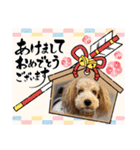 ムクリん6（個別スタンプ：5）