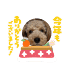 ムクリん6（個別スタンプ：8）