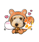 ムクリん6（個別スタンプ：27）