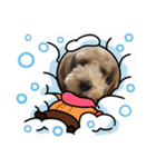 ムクリん6（個別スタンプ：29）
