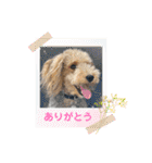 ムクリん6（個別スタンプ：32）