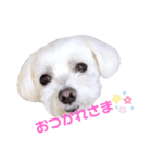 くぅちゃんV3（個別スタンプ：5）
