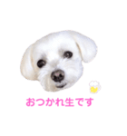 くぅちゃんV3（個別スタンプ：6）
