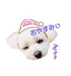 くぅちゃんV3（個別スタンプ：7）