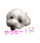 くぅちゃんV3（個別スタンプ：18）