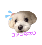くぅちゃんV3（個別スタンプ：28）