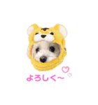 くぅちゃんV3（個別スタンプ：30）