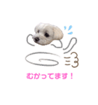 くぅちゃんV3（個別スタンプ：31）