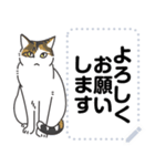 猫様いっぱい〜座り その7〜（個別スタンプ：1）