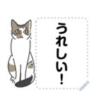 猫様いっぱい〜座り その7〜（個別スタンプ：9）