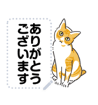 猫様いっぱい〜座り その7〜（個別スタンプ：14）