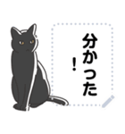 猫様いっぱい〜座り その7〜（個別スタンプ：19）