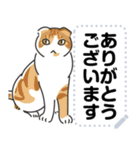 猫様いっぱい〜座り その7〜（個別スタンプ：21）