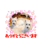 【公式】私たちのかわいい家族（個別スタンプ：1）