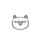 ゆる猫デイズ（個別スタンプ：15）