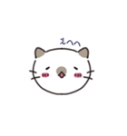 ゆる猫デイズ（個別スタンプ：16）