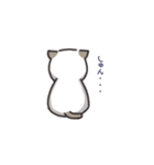 ゆる猫デイズ（個別スタンプ：17）
