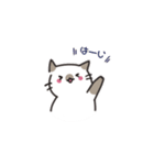 ゆる猫デイズ（個別スタンプ：21）