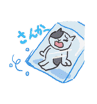 九州弁のジェシカ（個別スタンプ：34）