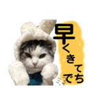 豆乳と書いて、ソイと読みます。4（個別スタンプ：3）